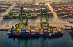 TradeVille: Transport Trade Services - între presiuni şi adaptare